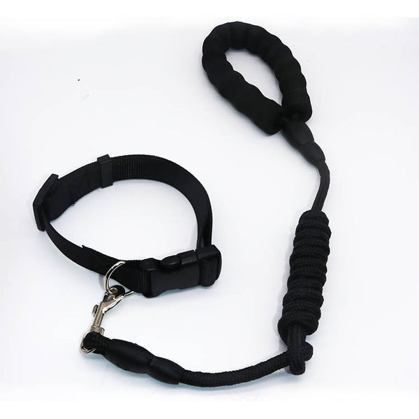 Dog pet leash collar