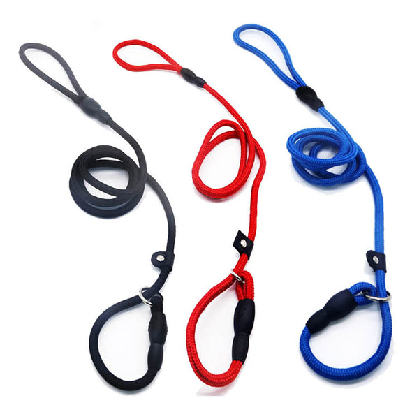 Pet dog leash