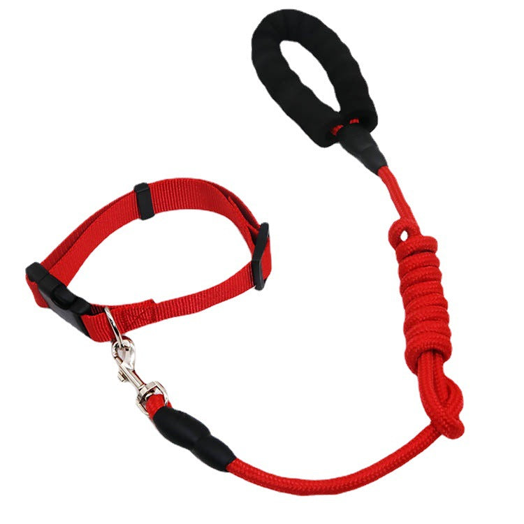 Dog pet leash collar