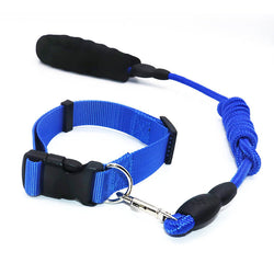 Dog pet leash collar