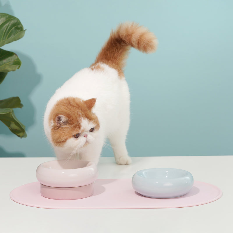 Makesure Cat Bowl