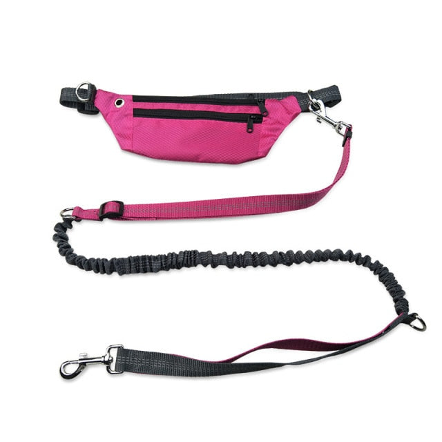 Reflective Traction Rope Pet Dog Running Belt Elastic Hands-Free Jogging Dog Traction Rope Metal D Ring Correa Perro