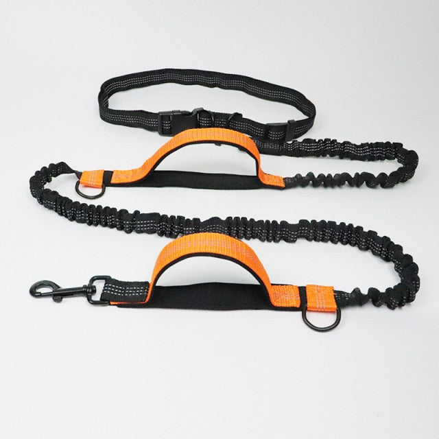 Reflective Traction Rope Pet Dog Running Belt Elastic Hands-Free Jogging Dog Traction Rope Metal D Ring Correa Perro