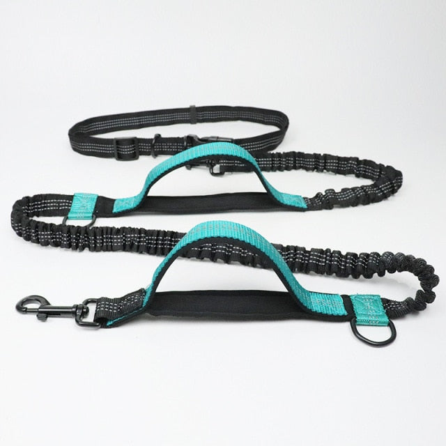 Reflective Traction Rope Pet Dog Running Belt Elastic Hands-Free Jogging Dog Traction Rope Metal D Ring Correa Perro