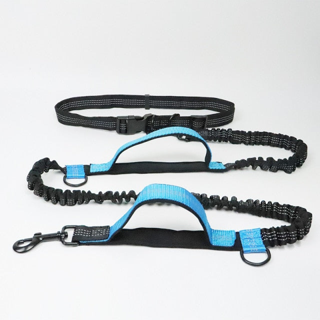 Reflective Traction Rope Pet Dog Running Belt Elastic Hands-Free Jogging Dog Traction Rope Metal D Ring Correa Perro